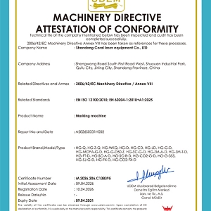 M.2026.206.C13839打标机